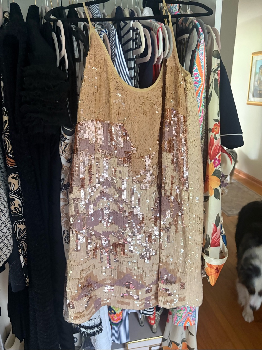 Boston Proper Sequin Tank in Champagne Blush